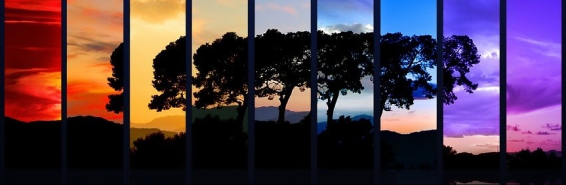 Simon Gollins Cover Image